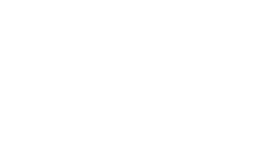 Inae Groupe Logo